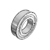 INA-2125 - Ball Bearings - Standard, Double Shielded