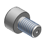 CBAS, CBASTN, SSCBA - Screws with through-hole -Hex Socket Head Cap Screws