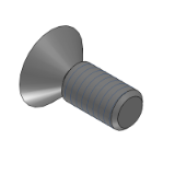 SL-VISS,SH-VISS,SHD-VISS - Precion Cleaning Decorative Screws - Round Countersunk Head, Phillips Drive